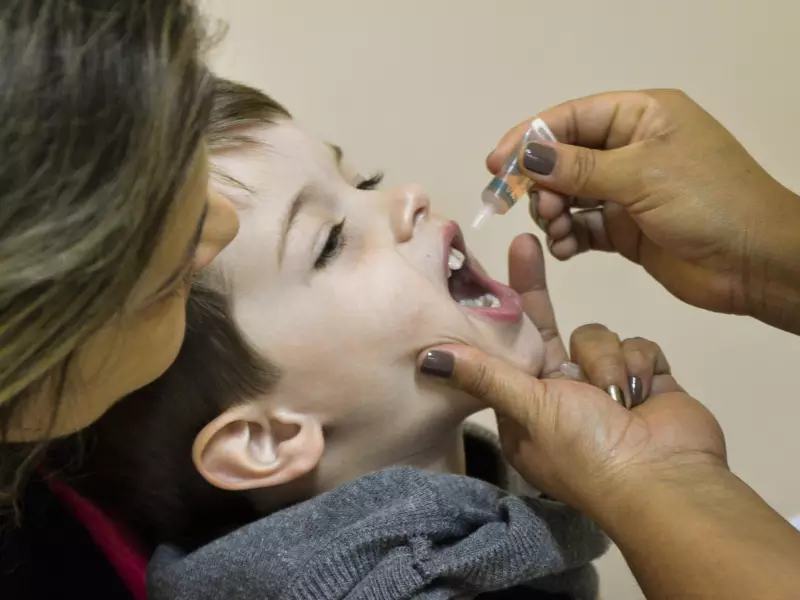 Fala Matao - Sábado tem ''Dia D'' de multivacinação e contra a poliomelite em Matão