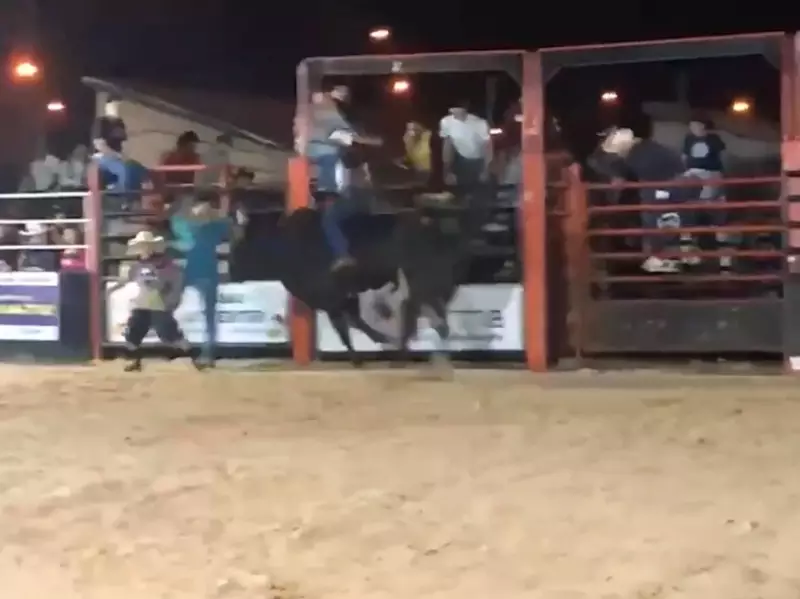 Fala Matao - Vídeo: peão morre após montar touro em rodeio na cidade de Luiz Antônio