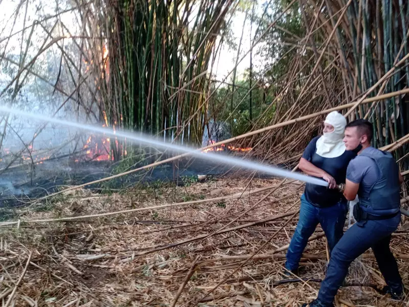 Fala Matao - Área de Preservação Permanente no Azul Ville foi consumida pelas chamas