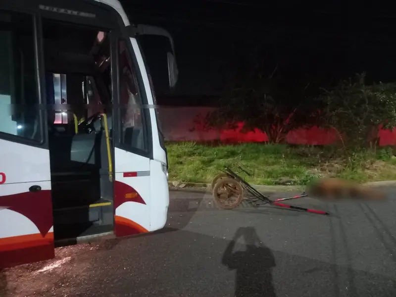Fala Matao - Grave acidente entre ônibus e carroça deixa cavalo morto e quatro feridos em Araraquara