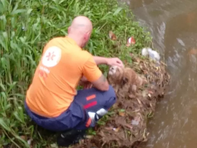 Fala Matao - Socorristas do Samu resgatam cão abandonado no Rio São Lourenço