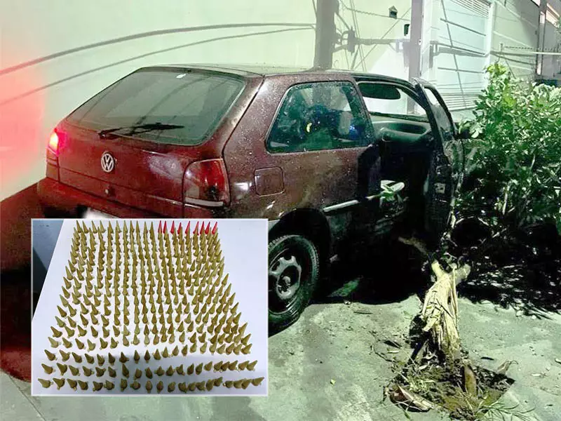 Fala Matao - Força Tática prende traficante com 360 pinos e recupera veículo furtado em Matão